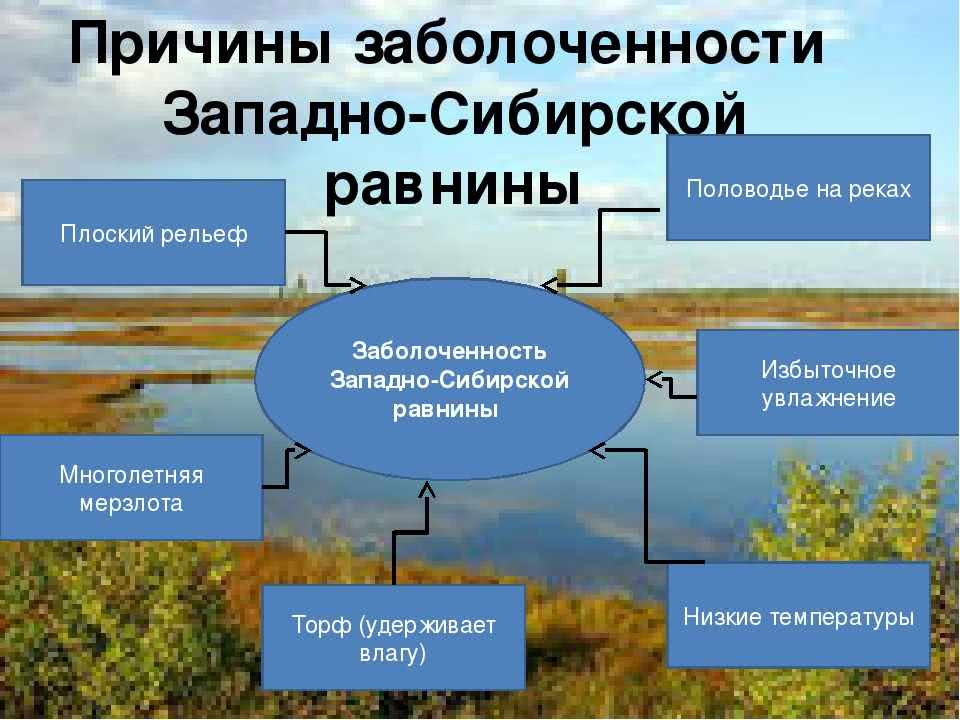 Природный комплекс ленинградской области по плану