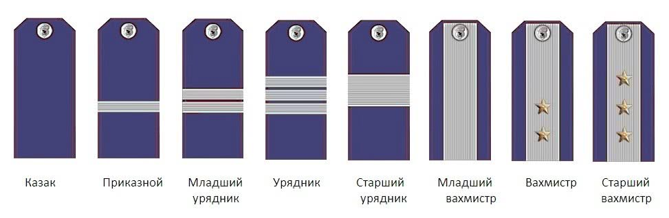 Должности в казачьих войсках. Младший вахмистр погоны Донское казачество. Погоны Российской армии казачьи чины. Казачьи погоны старшего вахмистра. Погоны вахмистра Кубанского казачьего войска.